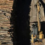 Propuestas del sector forestal para la nueva ley de fomento en Chile
