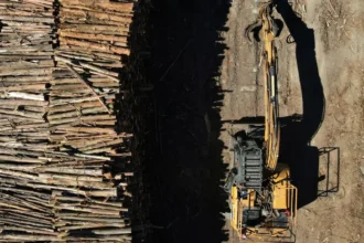 Propuestas del sector forestal para la nueva ley de fomento en Chile