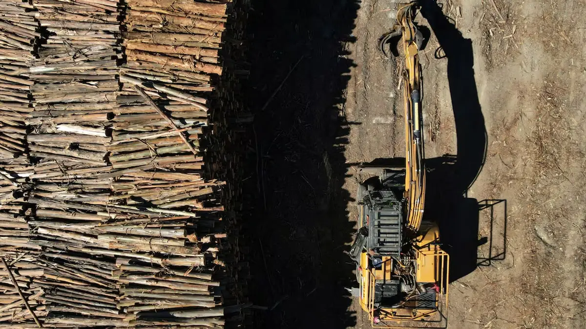 Propuestas del sector forestal para la nueva ley de fomento en Chile