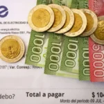Resultados del Subsidio Eléctrico: Anuncio de la quinta convocatoria para agosto de 2026