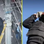 Retiran cerca de 50 "narco cámaras" instaladas ilegalmente en La Pintana