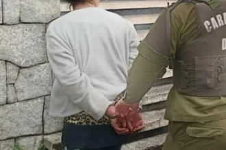 Valparaíso: Conductora intenta atropellar a carabineros durante fiscalización