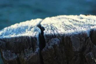 Alerta Meteorológica en Los Lagos: Heladas de hasta -9 °C afectarán la región