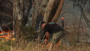 Chiguayante: vecinos obtienen respaldo legal para prevenir incendios en sus terrenos