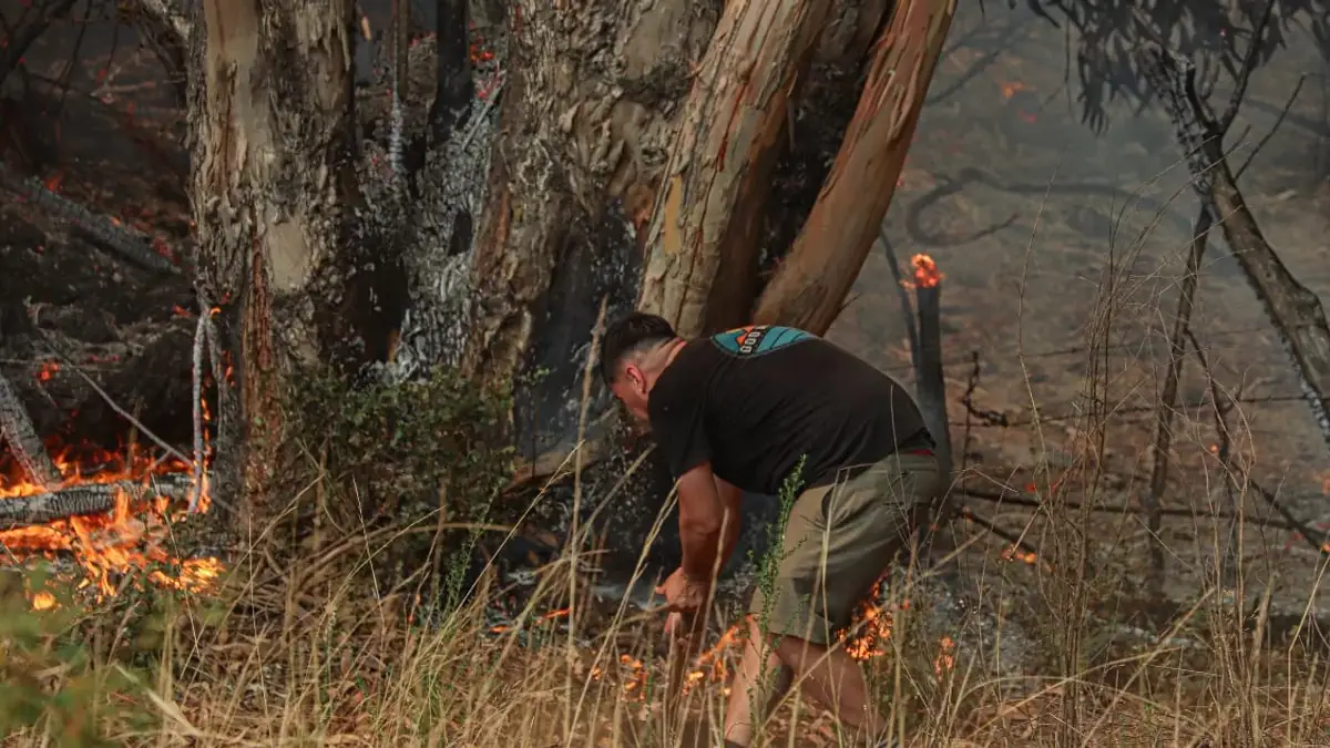 Chiguayante: vecinos obtienen respaldo legal para prevenir incendios en sus terrenos Chiguayante: vecinos obtienen respaldo legal para prevenir incendios en sus terrenos