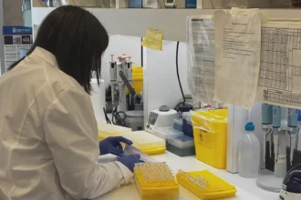 Impacto de la IA en la detección de cáncer: el nuevo programa de Corfo