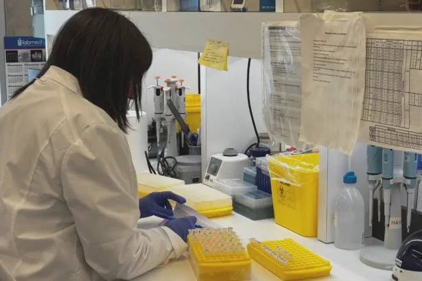 Impacto de la IA en la detección de cáncer: el nuevo programa de Corfo