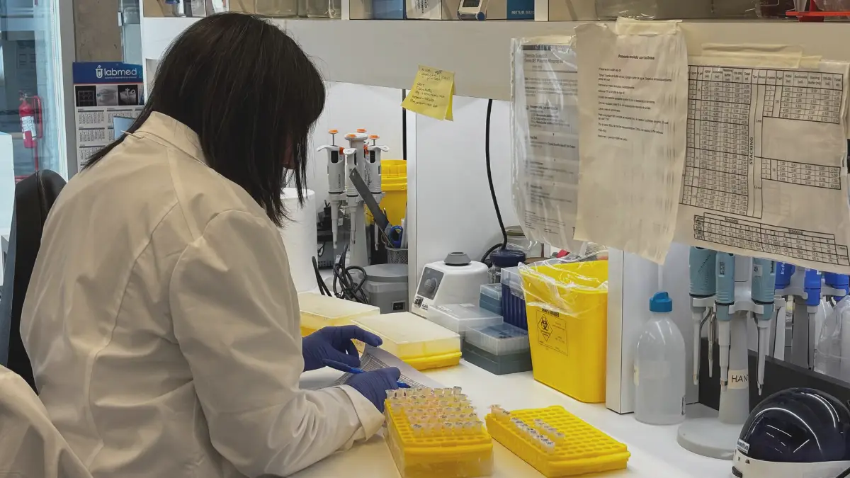Impacto de la IA en la detección de cáncer: el nuevo programa de Corfo Impacto de la IA en la detección de cáncer: el nuevo programa de Corfo