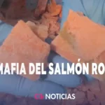 Mafia del salmón en Chile: una red desarticulada que comercializaba producto en mal estado