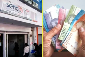 Requisitos y beneficios del nuevo Subsidio Unificado de Empleo