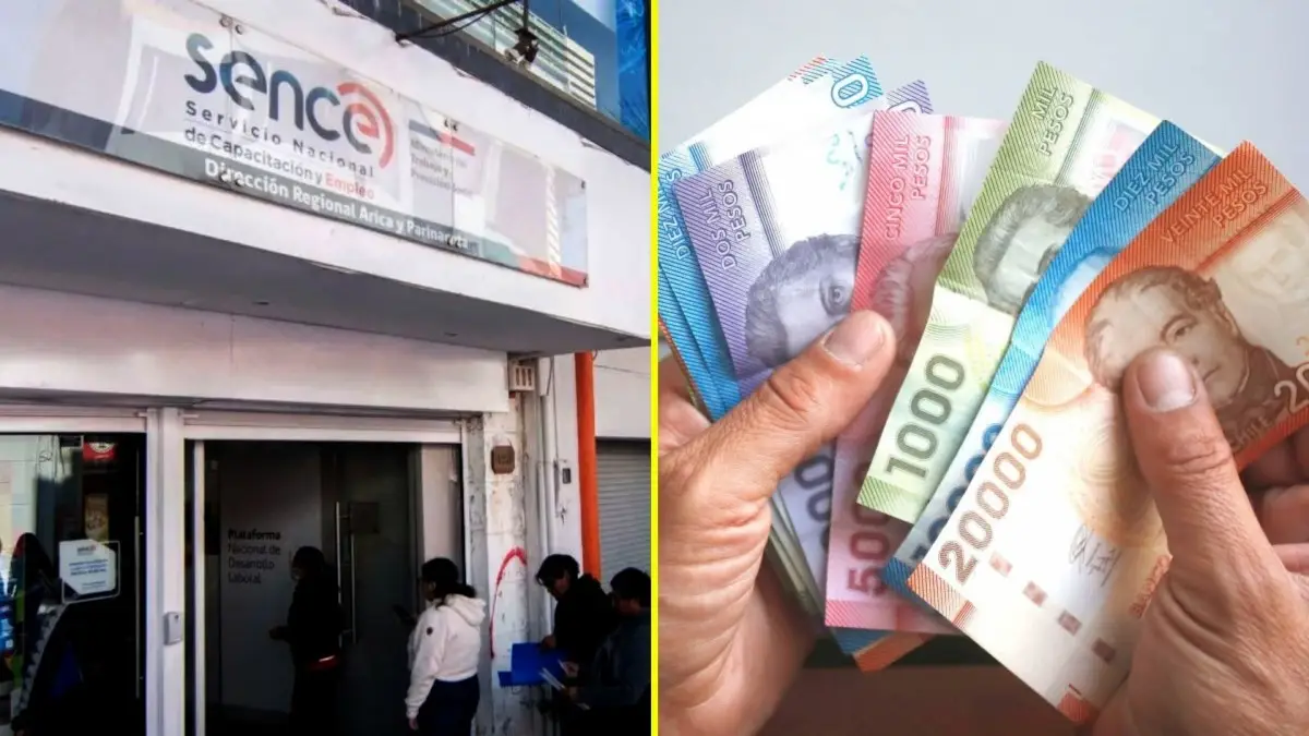 Requisitos y beneficios del nuevo Subsidio Unificado de Empleo Requisitos y beneficios del nuevo Subsidio Unificado de Empleo